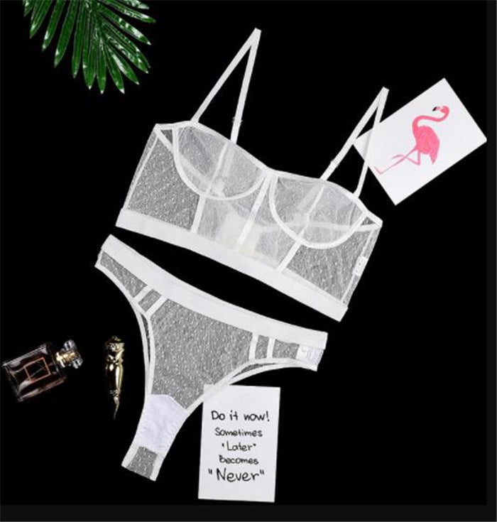 SS Sexy mesh set