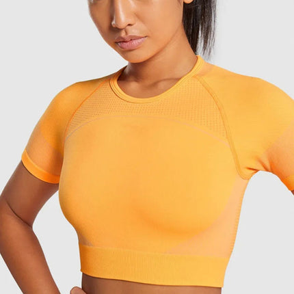 Seamless Knitted Yoga Set