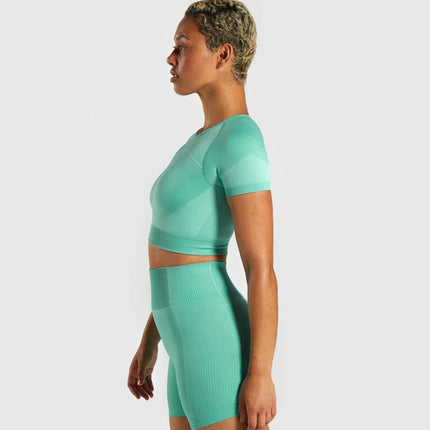 Seamless Knitted Yoga Set