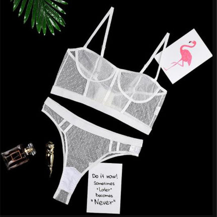 Sexy mesh bra set
