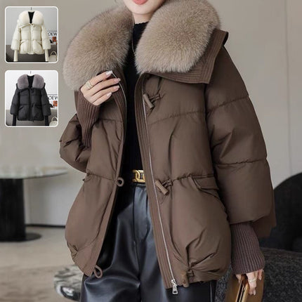SS padded Jacket