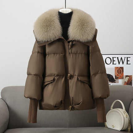 SS padded Jacket Brown
