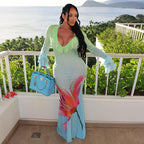 SS Printed Mesh Dress